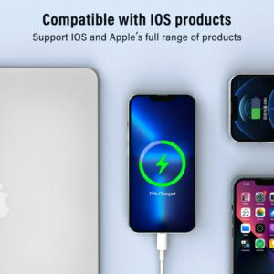 Gadz Lightning To USB Cable-1m Essential